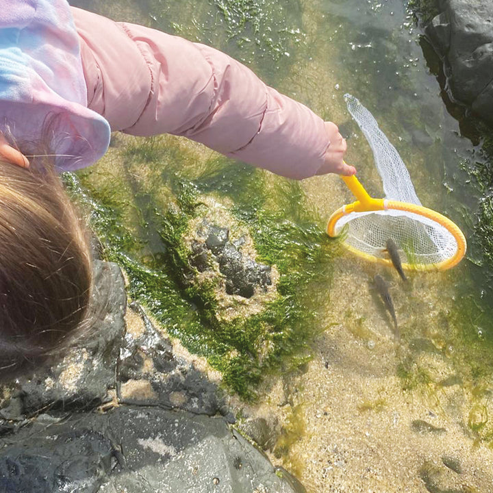 Pond Dipping Kit