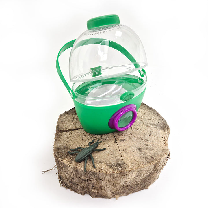 Forest School - Urban Schools Kit