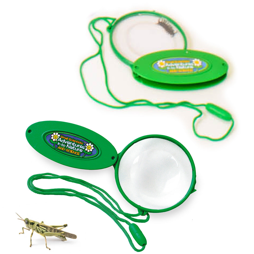 Folding Magnifiers (Pack of 12)