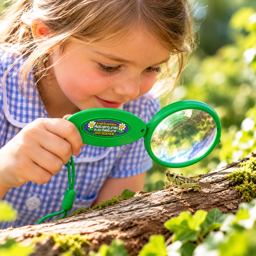 A young child holding a green folding magnifier with a safety wrist strap, featuring a butterfly inside, placed on a wooden surface.
