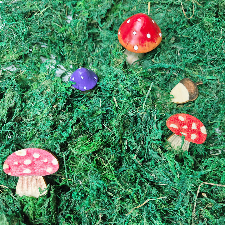 Forest School - Natural Woodland Kit