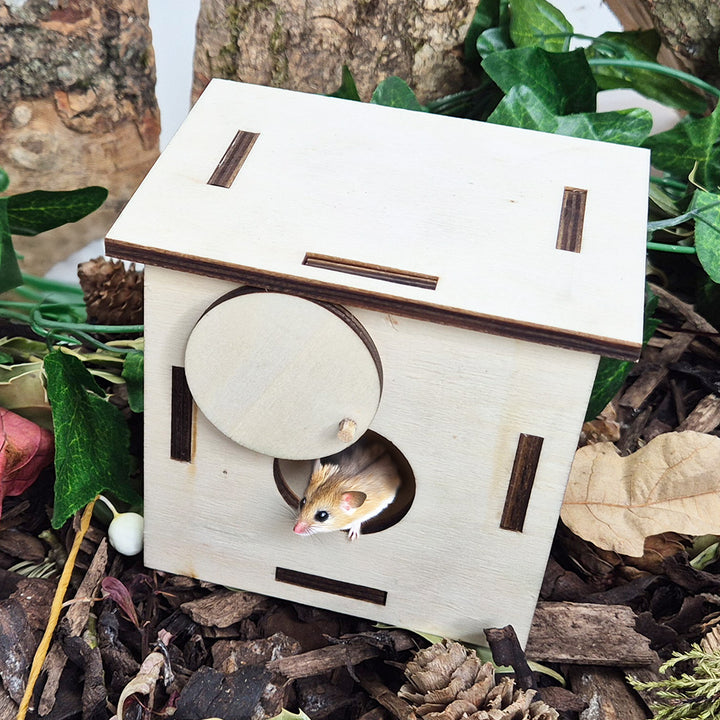 Forest School - Natural Woodland Kit