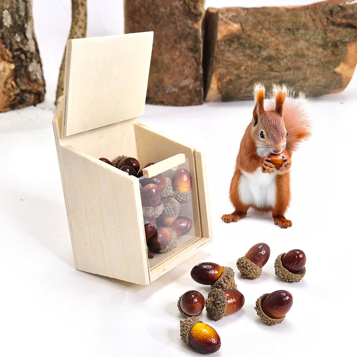 Forest School - Natural Woodland Kit