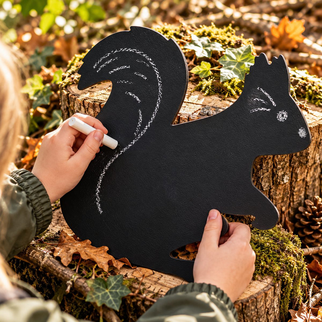 Handheld Chalkboards - Woodland Animals Set of 4 (Owl, Rabbit, Hedgehog, Squirrel)