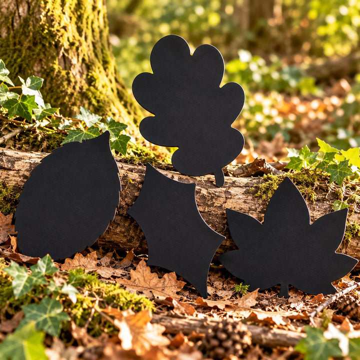 Handheld Chalkboards - Leaves Set of 4 (Birch, Sycamore, Oak, Holly)