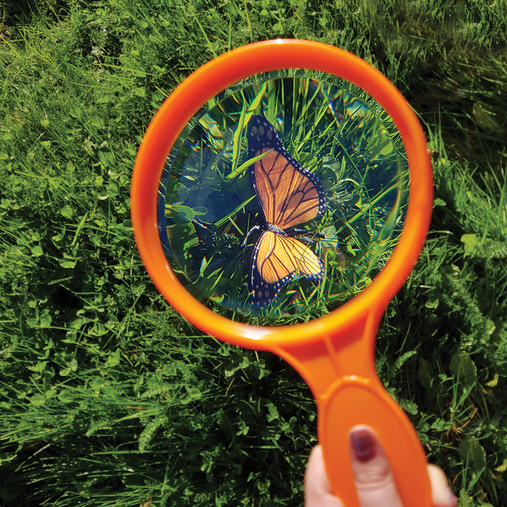 view, magnify, magnification, see up close, kids, children, infants, family time, fun, educational products, educational resources, educational supplies, pre school, school